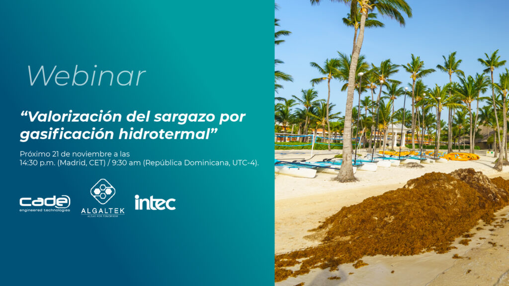 CADE, INTEC y Algaltek avanzan en la valorización sostenible del sargazo mediante gasificación hidrotermal